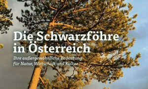 Die Schwarzföhre in Österreich