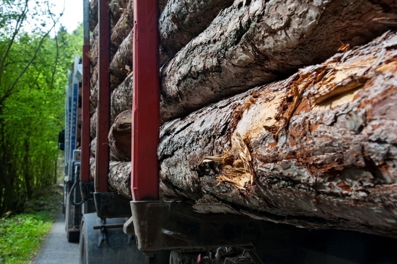 Holzvermarktung