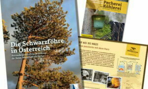 Wissen und Erlebnis