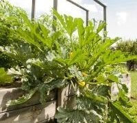 Bio-Hochbeet klein
