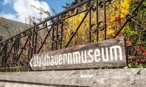 Besichtigung Pecherlehrpfad Hernstein