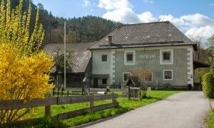 Führung im Waldbauernmuseum