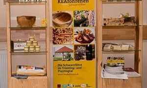 KEAföhrenen Regal