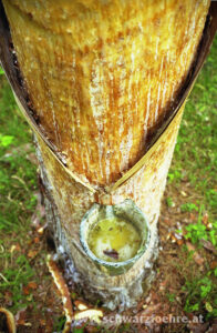 Holzleitscharten_zum_Pechhferll
