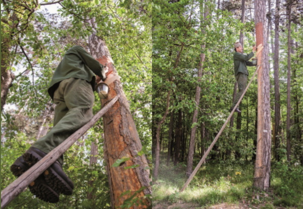 p11 Das Pechren passierrt oft auf der Leiter in luftiger Höhe.