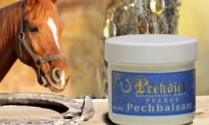 Pechbalsam für Pferde 80 ml