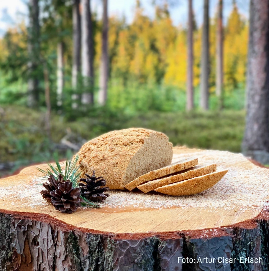 Brot mit aromatischem Kiefernholzmehl Brot mit aromatischem Kiefernholzmehl