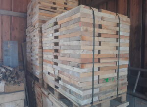 IMG-20240309-WA0010