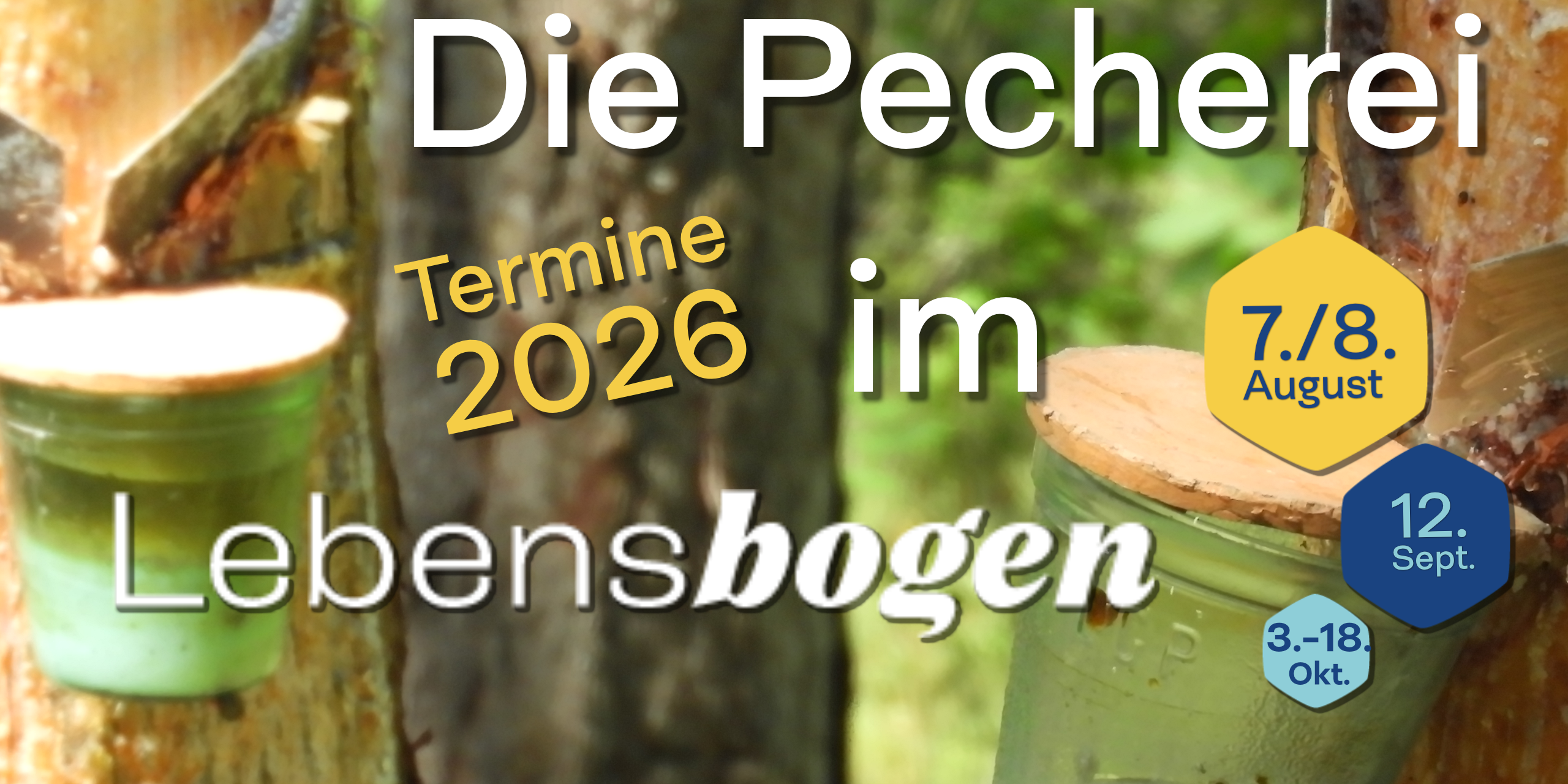 Pecherei im Lebensbogen 2026: 7./8. August, 12. September, 3.-18. Oktober