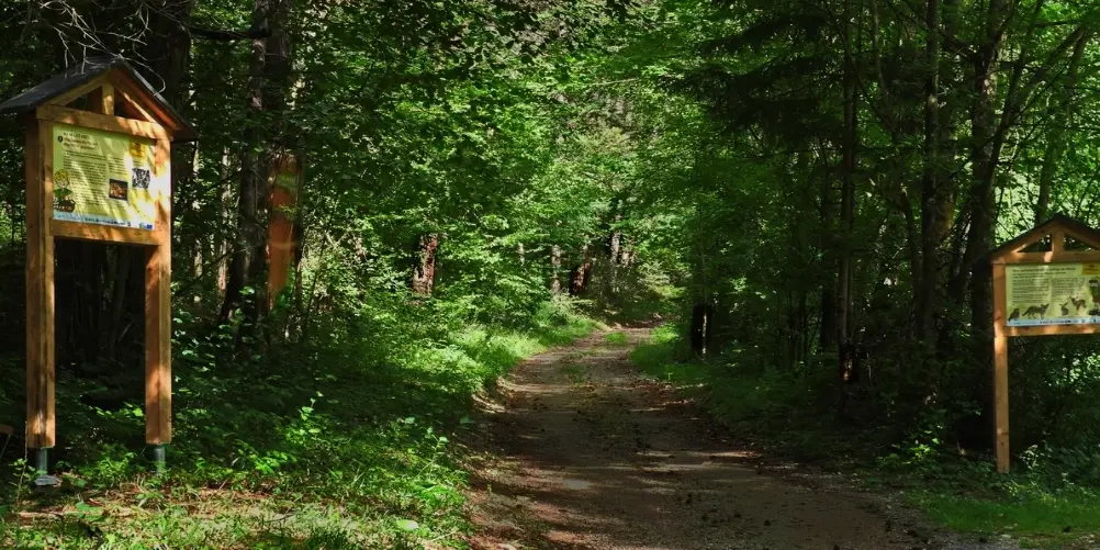 Weg des Harzes Themenwege zur Pecherei